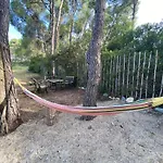 Wood House Halkidiki בית נופש *